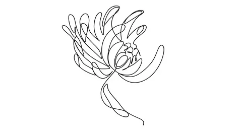 Self drawing simple animation of single continuous one line drawing flower Video stock 128419423