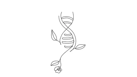 Self drawing simple animation of single continuous  line drawing of flower DNA Video stock 128419535
