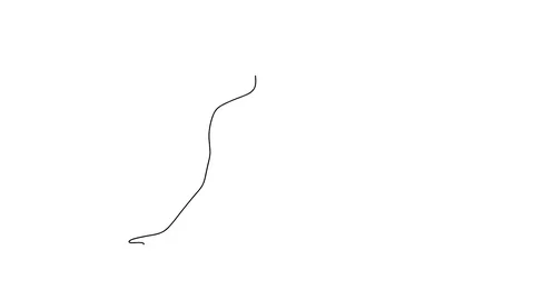 Self drawing simple animation of single continuous one line drawing exercise Video stock 128421012