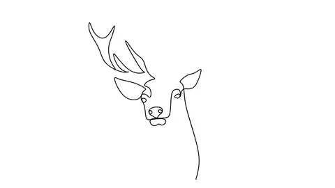 Self drawing simple animation of single continuous one line drawing of deer. Stock-Footage 128422685