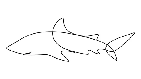 Self drawing simple animation of single continuous one line drawing of shark Stock Footage 128424917