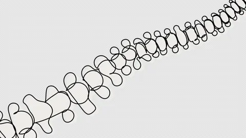 Self-drawing of the spine in one line on a white screen. Stock Footage 220352995