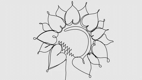 Self-drawing of a sunflower in one line on a white screen. Stock Footage 196134030
