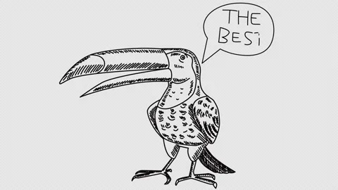 Self-drawing toucan with a speech bubble Stock Footage 148169885