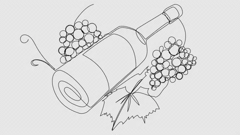 Self-drawing wine bottles and grapes on white screen. natural production. Stock Footage 233355900