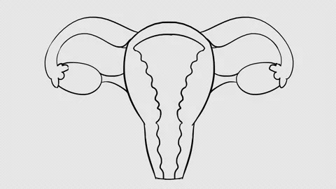 Woman Sex Self Stock Videos – Royalty-Free HD & 4K Videos | Pond5