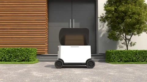Self-driving delivery, The robot is delivering the goods Stock Footage 252955227