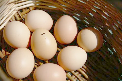 Self Made Hand Drawn smiling egg - Group of eggs. They are in a basket . Stock Photos