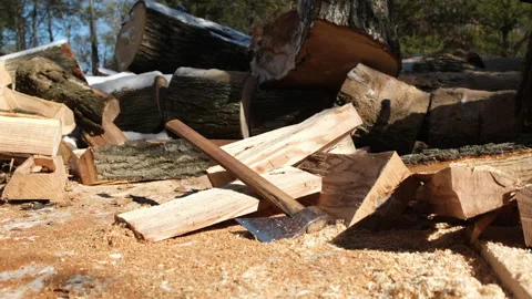 Self made Russian style ax lay on ground while processing oak logs into firewood Stock Footage 269000337