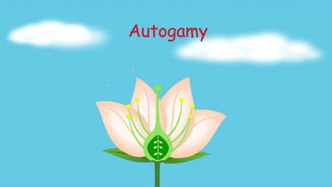 Self pollination in plant. Stock Footage 232804923