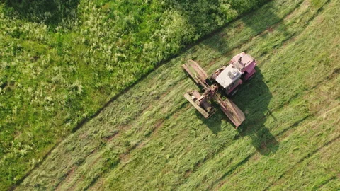 Self-propelled car mower goes through the meadow haymaking in the evening 動画素材 160527170