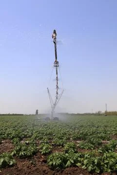 Self propelled high gap sprayer sprayer in field, North China Stock Photos