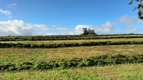 Self Propelled Mower cutting silage late in the season Stock Footage 344998380