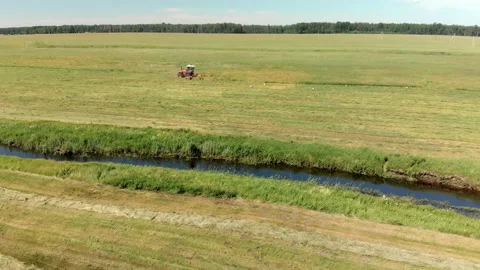 Self-propelled mower harvests hay for livestock feed in the summer in a meadow 動画素材 137291073
