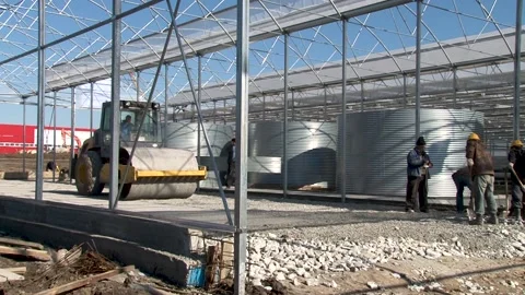 Self-propelled road roller compacts and levels loose soil in greenhouse. Stock Footage 152473266
