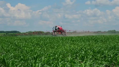 Self-propelled sprayer applies crop protection products to corn Stock Footage 166616536