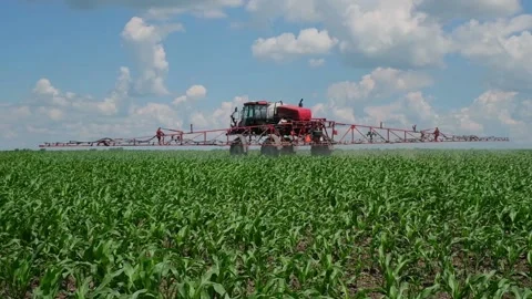 Self-propelled sprayer applies crop protection products to corn Stock Footage 166616558