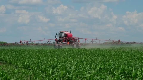 Self-propelled sprayer applies crop protection products to corn Stock Footage 166616641