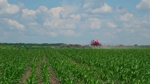 Self-propelled sprayer applies crop protection products to corn Stock Footage 166616652