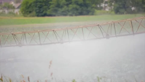 Self-propelled sprayer processes cabbage in an agricultural field Video stock 117842472