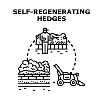Self regenerating hedges concept illustrating sustainable garden growth Stock Illustration