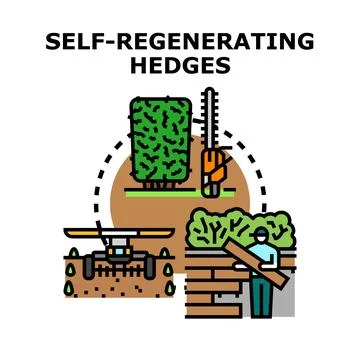 Self regenerating hedges concept with trimming and irrigation Illustrazione stock