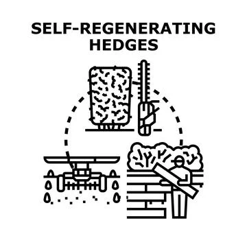 Self regenerating hedges concept with trimming and irrigation Illustrazione stock
