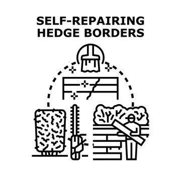 Self repairing hedge borders system concept vector Stock Illustration