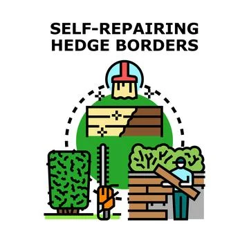 Self repairing hedge borders system concept vector Stock Illustration