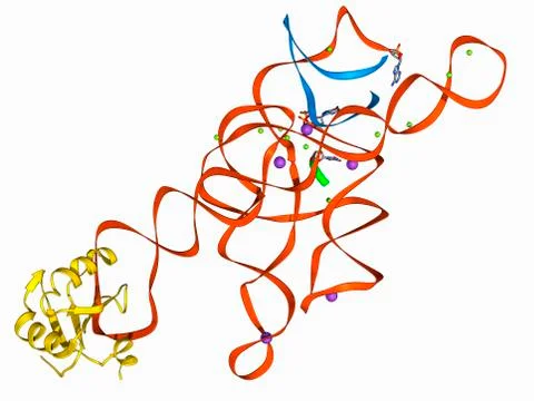 Self-splicing RNA intron, molecular model Stock Illustration