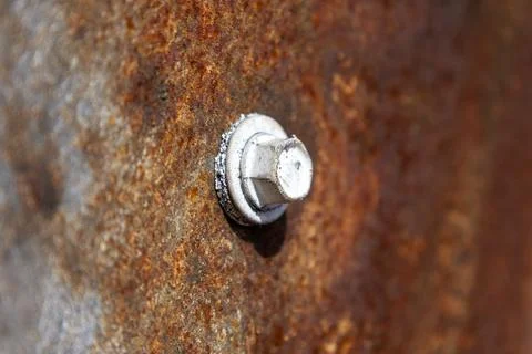 Self Tapping Screw Fixed on Rusty Surface Showing Wear From Time and Enviro.. Stock Photos