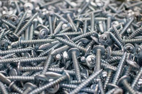 Self tapping screw. Stock Photos