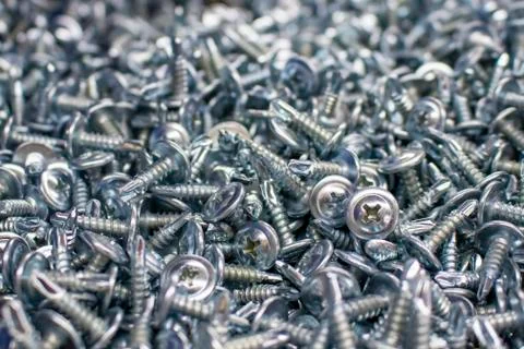 Self tapping screw. Stock Photos