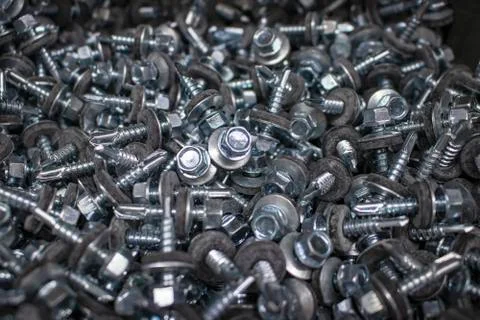 Self tapping screw. Stock Photos