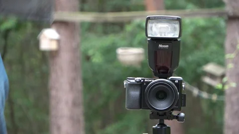 Self-timer of a mirrorless camera Stock Footage 112598330