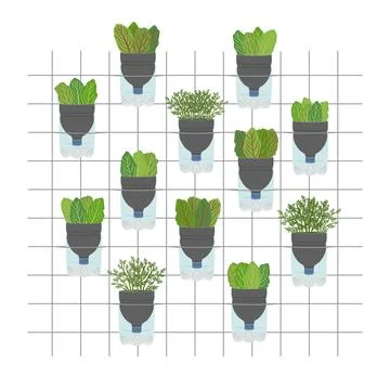 Self-watering plastic bottle planters on white background. Vertical garden,.. Stock Illustration