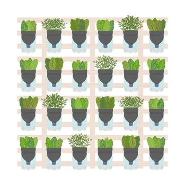 Self-watering plastic bottle planters on white background. Handmade and DIY.. Stock Illustration