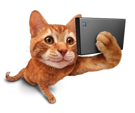 Selfie Cat 스톡 일러스트