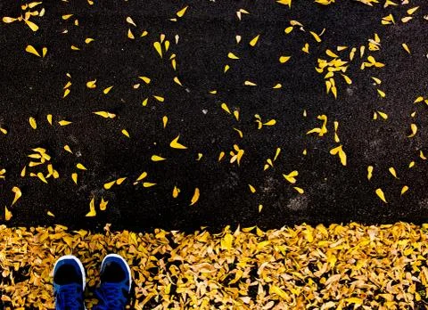 Selfie top view Stock Photos