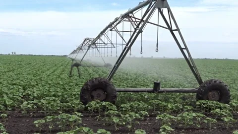 Self‑propelled irrigation system operating in a green crop field Stock Footage 336183707