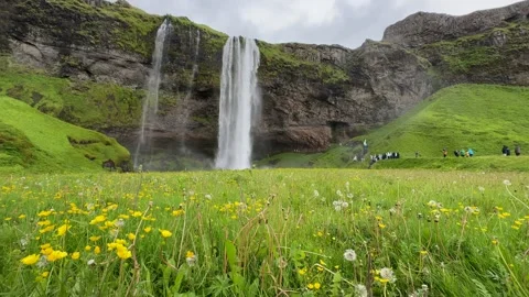 Seljalandsfoss in summer Stock Footage 317828136