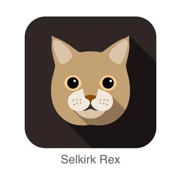 Selkirk Rex Cat, Cat breed face cartoon flat icon design Stock Illustration