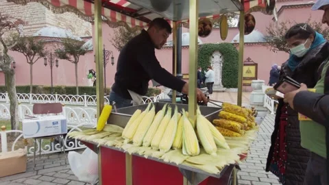Seller of boiled corn and roasted chestnuts in Sultanahmet square, Istanbul. Stock Footage 166450320