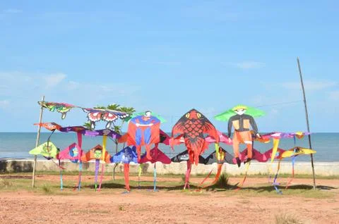 Sellers kite 写真素材