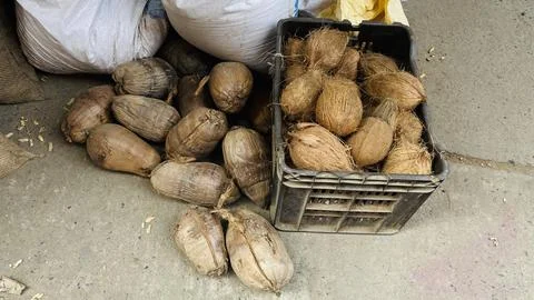 Selling coconuts , naricel Stock Photos