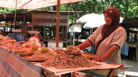 Selling dried fish Vidéo 572853