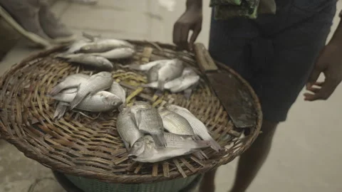 Selling Fish Stock Footage 338178647