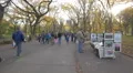 Selling paintings in Central Park New York City 4k or 4k+ Resolution