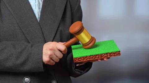 Selling a plot of land at auction. A court ruling on a land case. Vídeos de archivo 339028122