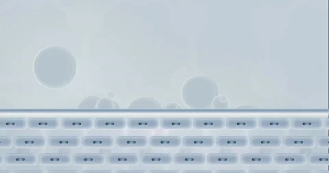 Сells Stock Footage 170477729